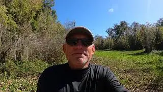 Tobacco Patch Spring during the Ock draw down