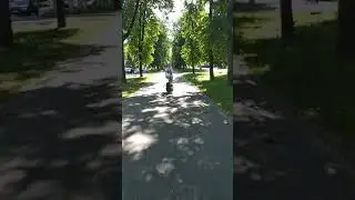 Наше путешествие в Великий Новгород