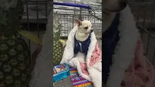 Гарного дня✅
