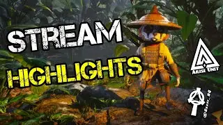 What's Streaming all About?