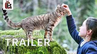 Život kotěte (2023) - Trailer /