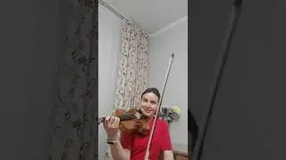 О скрипичных профессиональных 