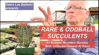 See Rare Succulents at Al Klein's Botanic Wonders Nursery