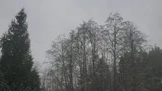 not a snow day