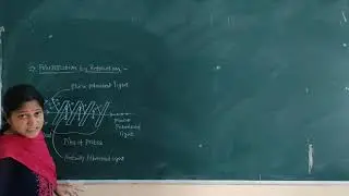 Physics FE- Polarization by refraction and double refraction