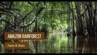 Crash Course: Ecuador - Amazon Rainforest @anhubmetaverse2457