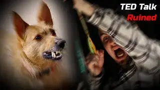 Dog Attack Ruined my TED Talk