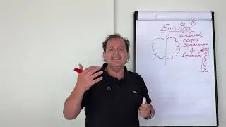 2 PARTE  Se avessi saputo questo sulle emozioni… la mia vita sarebbe stata completamente diversa