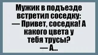 Мужик в подъезде встретил соседку -Смешные анекдоты