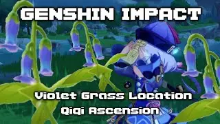 Violet Grass Location Genshin Impact