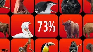 Living Planet Report 2024 | WWF-Australia