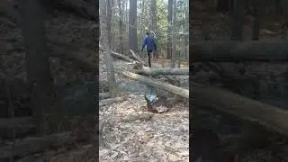 We got lost in the woods?!?!?!lel memes