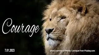 Courage | TLC | 7 01 2023