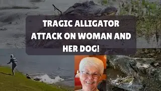 Grandma sacrifices life to save dog from alligator!