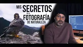 Mis SECRETOS en la 📷 Fotografía de NATURALEZA🌳🦊 4K