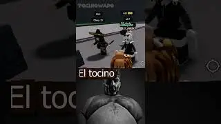 Tocino Chad  