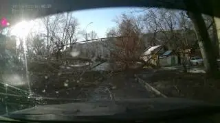 Упало дерево в Саратове. 7.12.2015