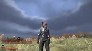 Streaming Madness