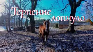 Живоловушка для лисы. Доделала полки.
