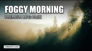 Moody Foggy Morning Cinematic LUTs Pack 🌫️🎞️ | Misty Film Color Grading for Nature & Travel Videos