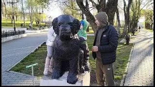 О работе/На пруду/Весенний салатик