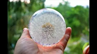 Одуванчик средний paperweight dandelion 8 см. Авторское стекло Юлии Куракиной.