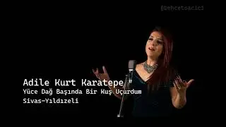adile kurt karatepe yüce dağ başında bir kuş uçurdum sivas yıldızeli