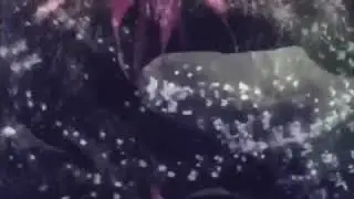 She - Soft Lesbian/Sapphic Clips