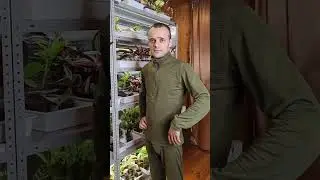 Организация места для выращивания растений и рассады.