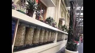 Барабаны крутятся в Индийской резиденции Далай Ламы