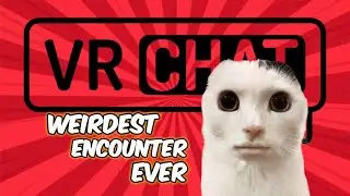 WTF did I just witness in VR Chat 😱?