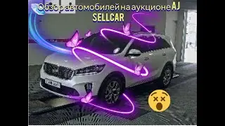 ОБЗОР ЦЕН НА АУКЦИОН AJ SELLCAR  НА АВТОМОБИЛИ KIA SORENTO  2016+ ГОД НА 17.08.2022!