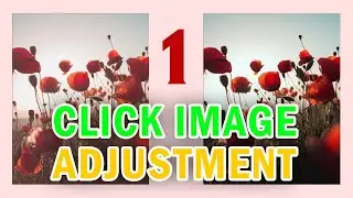 1 Click Photo Adjustment Trick in Photoshop | Auto Adjustment Photo in Photoshop