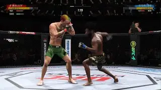 Ufc best fight