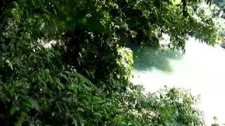 Colombia - Rio Claro - Canopy  --  www.vazart.net