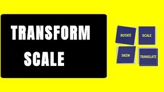 CSS Transform Scale Explained 🔍 | Full Practical Guide 