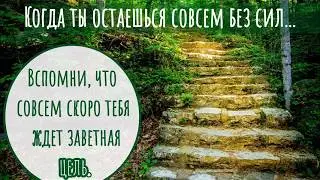 Григорий Т. 