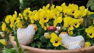 с праздником🤗🌷🌷🌷