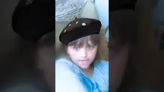 Мои мишки
