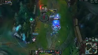 iron insec