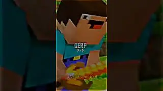 Warden vs Derp