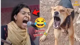 NOORAN SISTERS FUNNY VIDEO🤣 ||मज़ेदार वीडियो || nooran sisters funny song video 🤣🤣 ||
