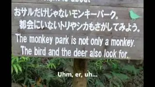 Japan Trip - 05 (Japanglish)