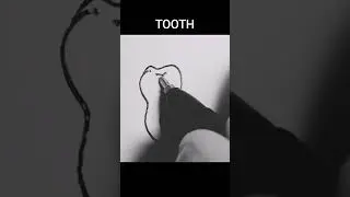 drawing tooth simple 