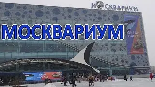 Москвариум на ВДНХ !