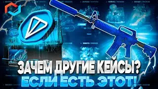 ЗАЧЕМ ОТКРЫВАТЬ ДРУГИЕ КЕЙСЫ? КОГДА ЕСТЬ ЭТА ИМБА НА МАЙКСГО!