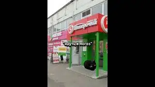 как ц вас делишки?)👾🌷
