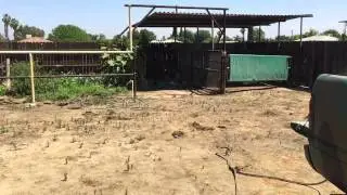 Blowing up gophers