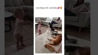 cute dogs and cute baby play a game 💕🥰