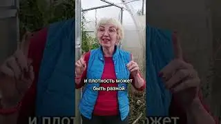 Какой поликарбонат выбрать для теплицы?